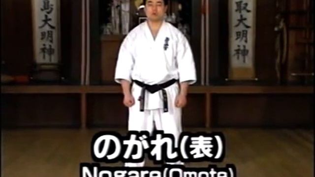 Kyokushin Karate Encycklopedia. Фильм №2. Энциклопедия Киокушин каратэ.