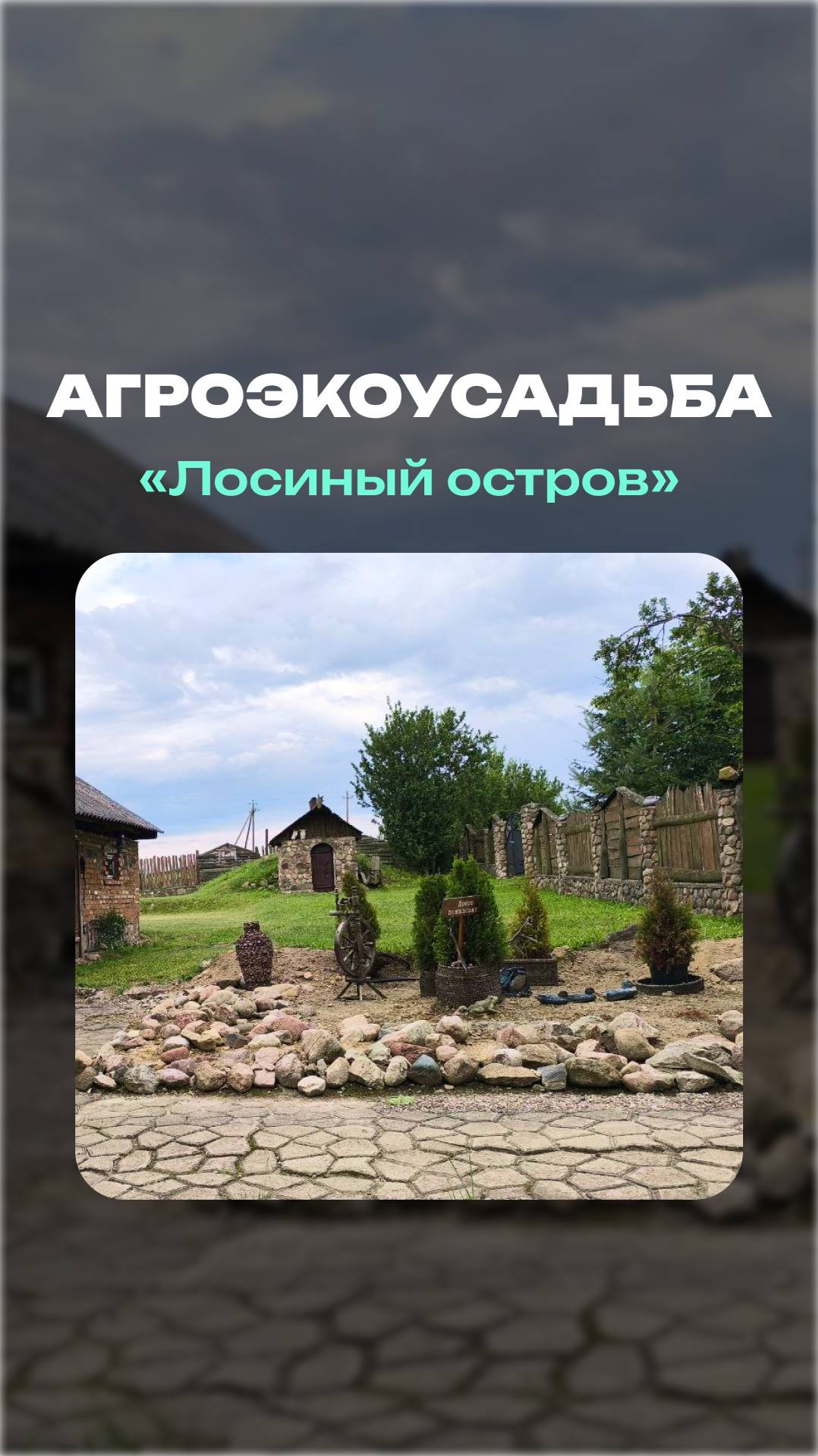 Лосиный остров | Агроэкоусадьба #shorts #туризм #лось #агроусадьба #гродно #беларусь #travel #отдых