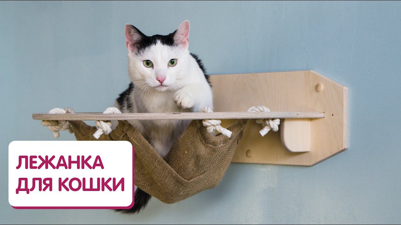 Кошачий гамак или лежанка для кота