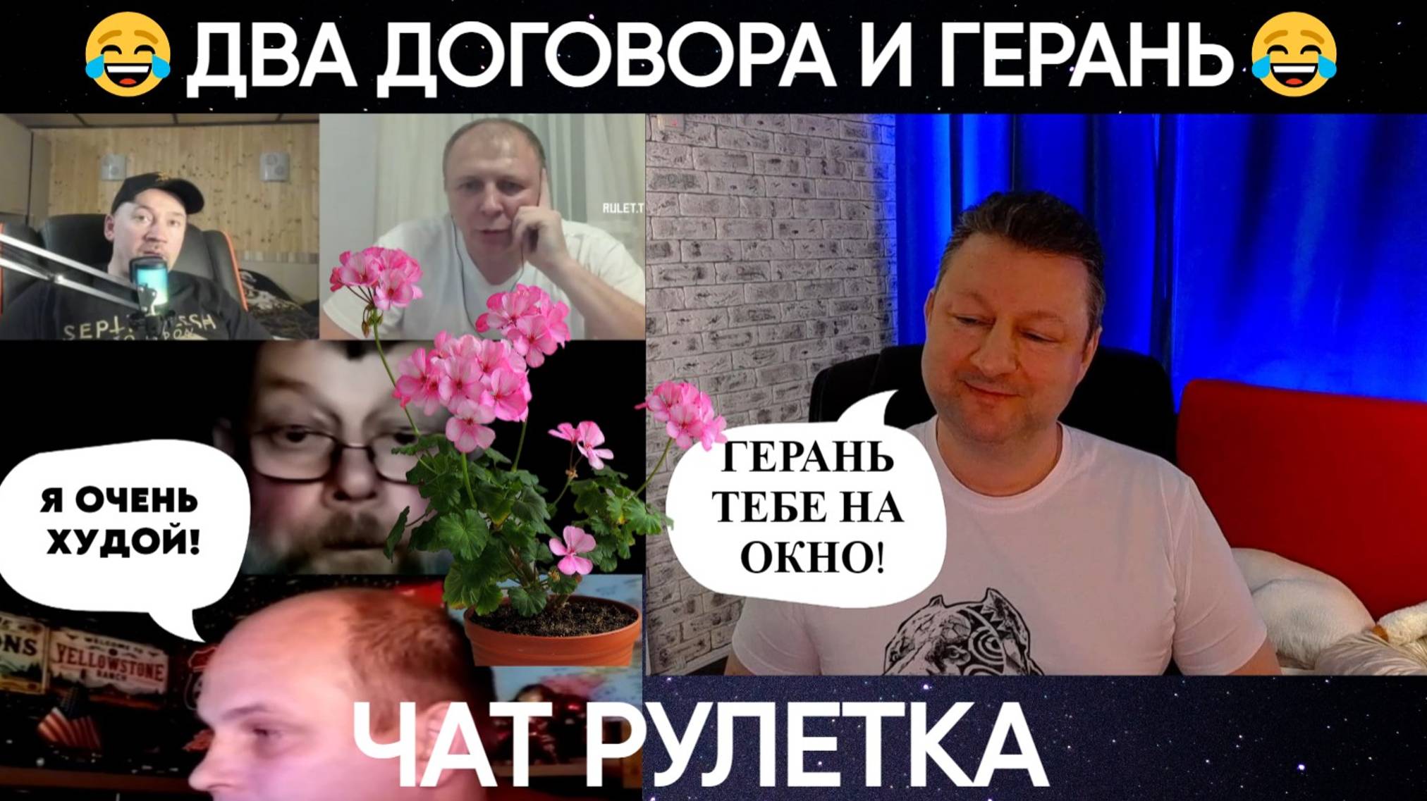 Два договора и герань на окне 😂