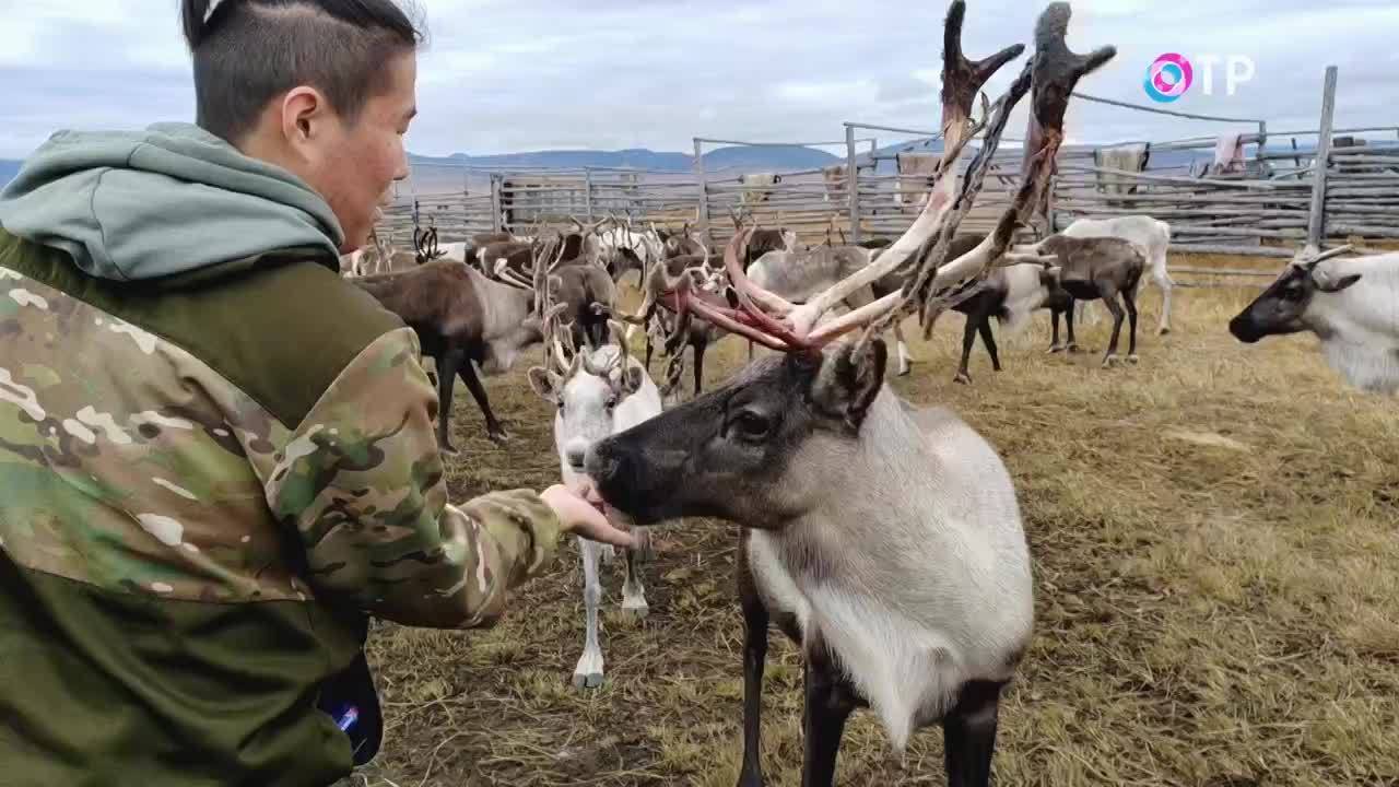 Возрожденные традиции. Границы между странами и культурами стираются