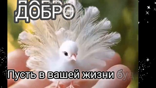 Доброе утро!Желаю вам, чтобы ваша жизнь была такой же красивой и прекрасной.