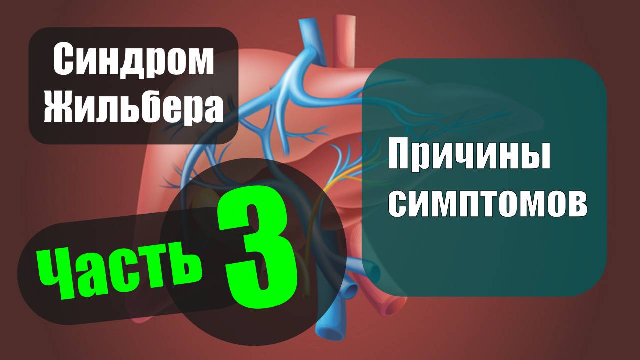 Синдром Жильбера. Часть 3 — Причины симптомов