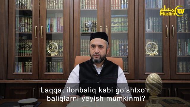 Laqqa, ilonbaliq kabi go‘shtxo‘r baliqlarni yeyish mumkinmi?