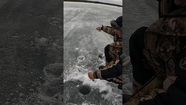 Зимняя рыбалка