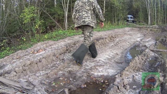 Поездка По Старой Заброшенной Лесной Дороге На Самодельном Снегоболотоходе Белый Лис