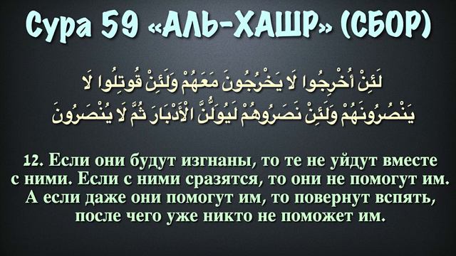 Сура 59 аль-Хашр (арабские и русские титры) - Мухаммад Люхайдан