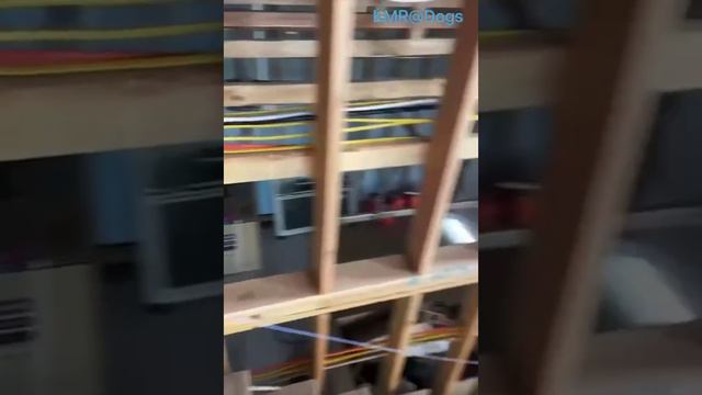 В первый рабочий день человеку требуется помощь друга😂 ( видео про собак )