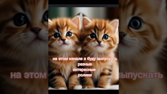 Приветики новый друг💜#shorts#котики