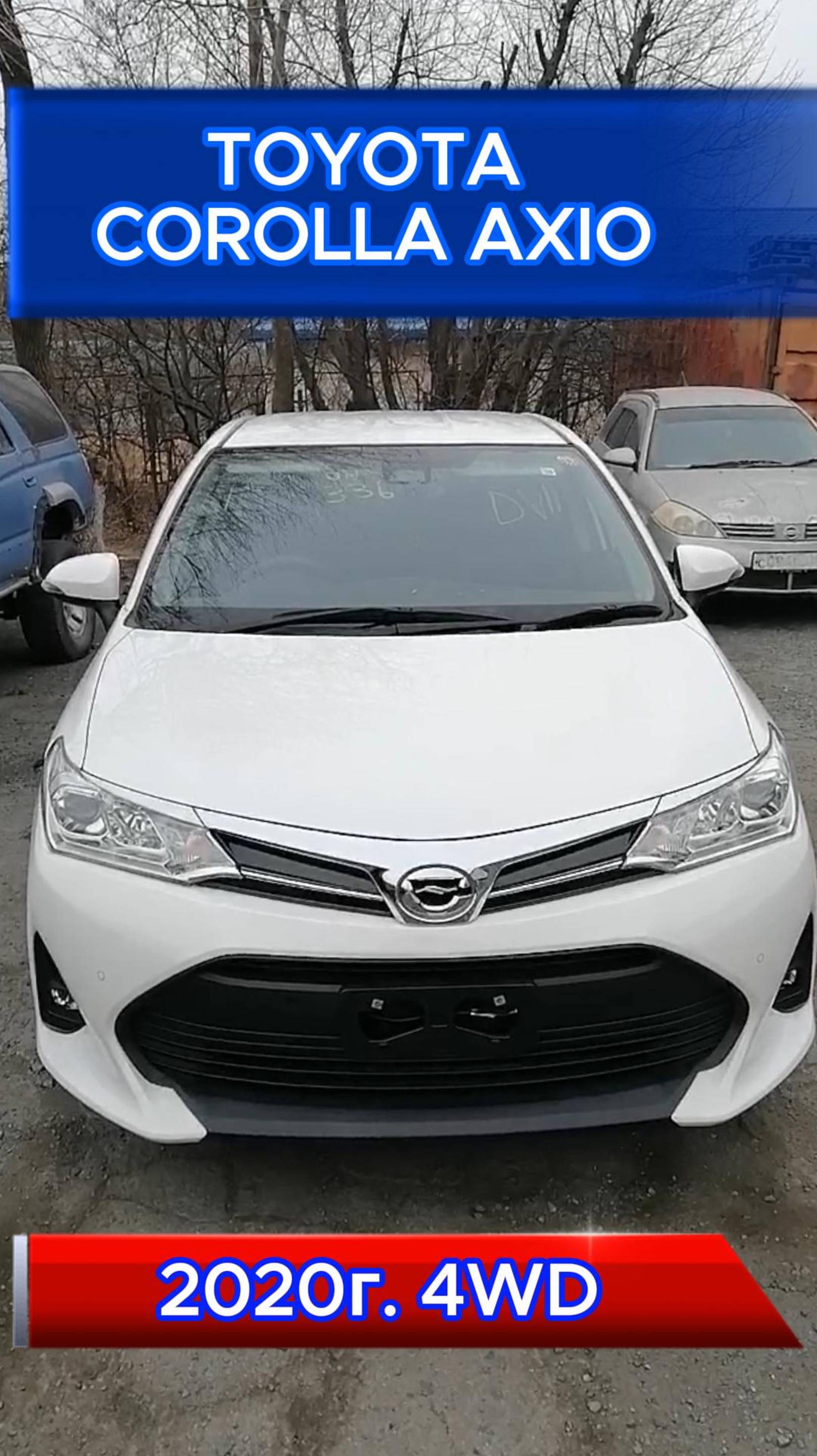 Toyota corolla axio Авто из Японии #short #shorts