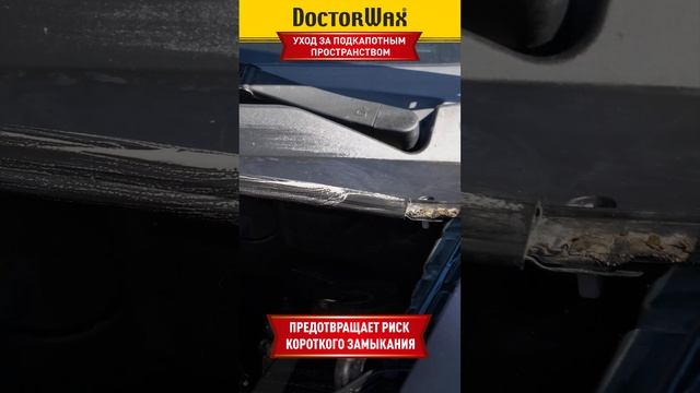 Уход за подкапотным пространством. Автокосметика DoctorWax