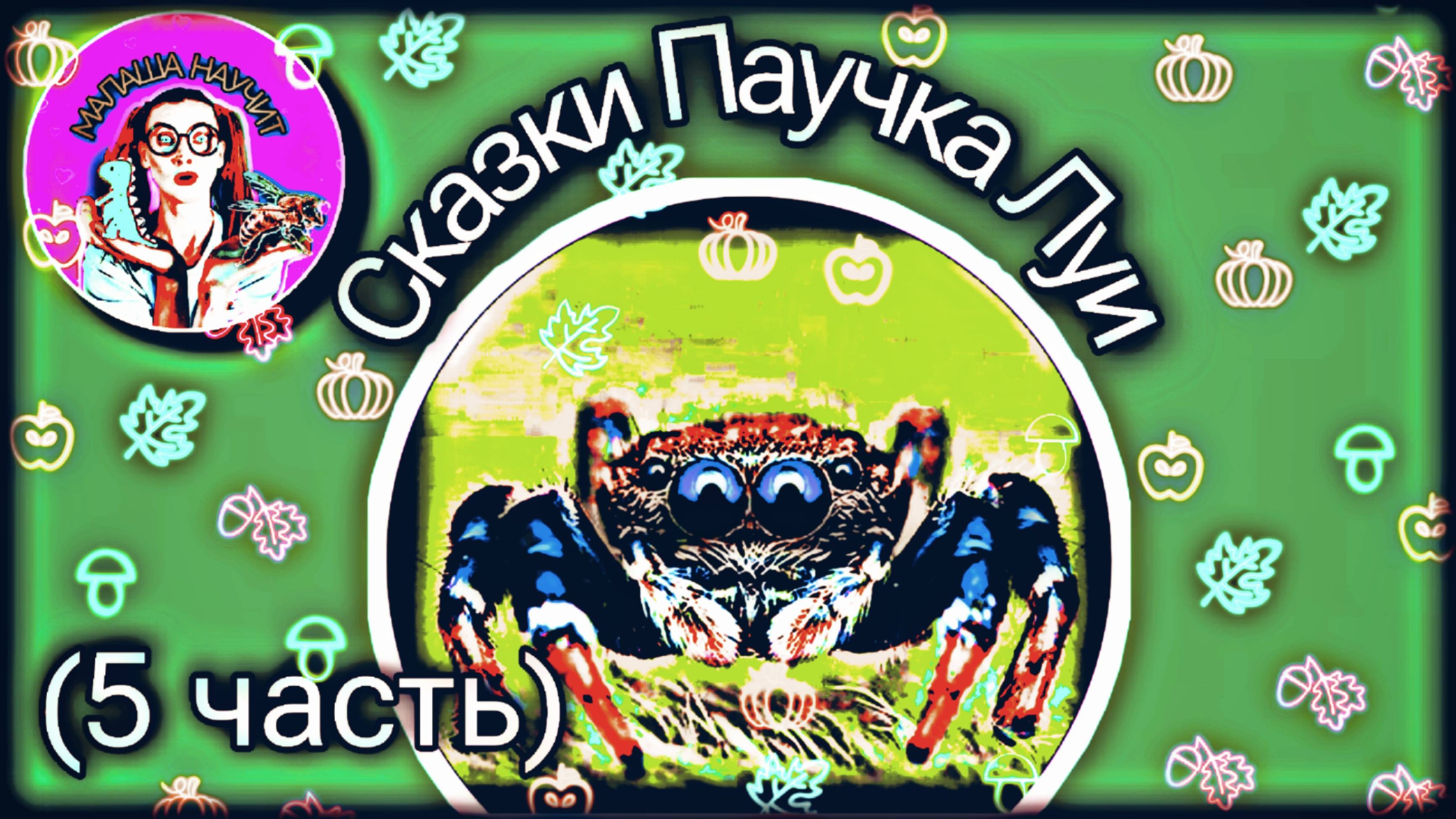 СКАЗКИ ПАУЧКА ЛУИ (5 часть) #малыши #сказка #детскиесказки #слушать #малаша #интересно #полезно #дет