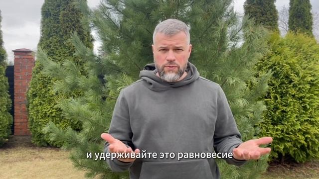 Практика умственной тишины