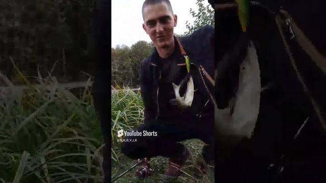 Отрывок со стрима. Маленькая щучка попалась на воблер #рыбалка #fishing #shorts