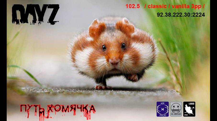 DayZ * 102.5 / classic / vanilla 3pp / * Путь Хомячка