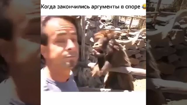 это  друзья)