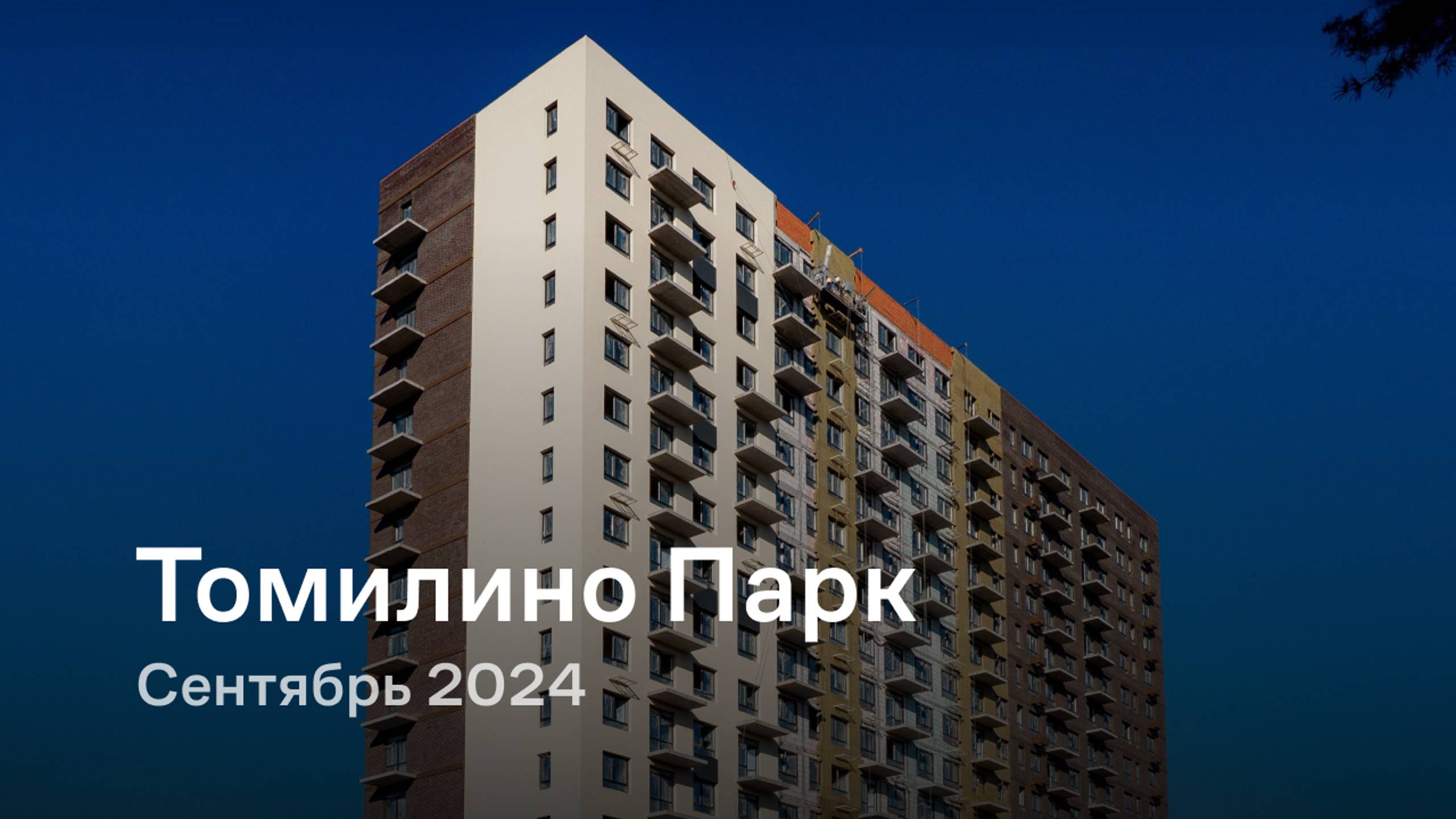 «Томилино Парк» / Сентябрь 2024