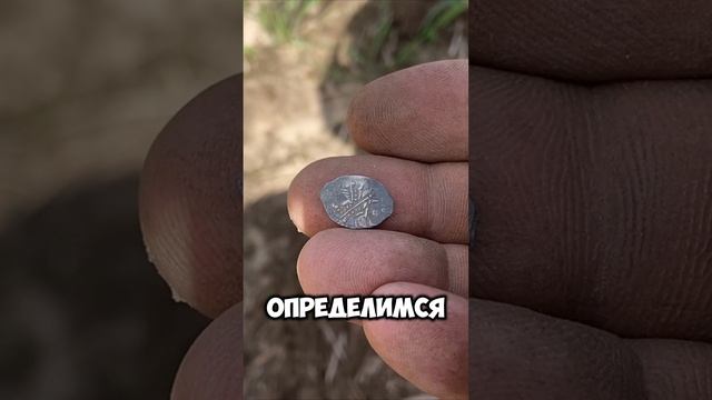 Раскопки дня: Гигантская чешуя #кладоискатели #коп #монеты #поиск