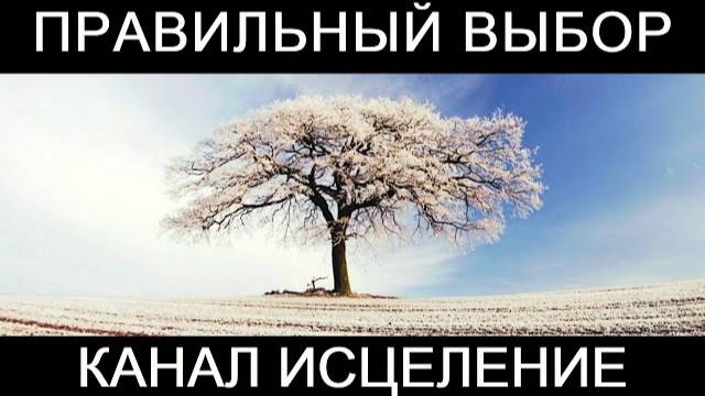 Правильный выбор