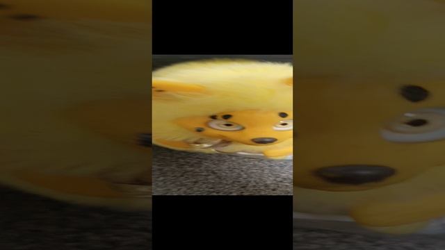 Пчёло птице пёс
