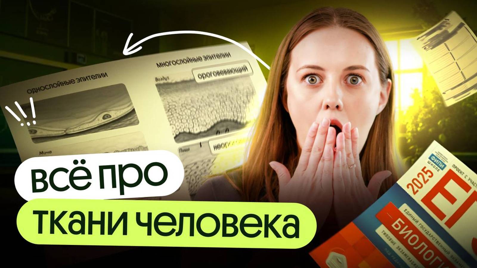 ТКАНИ ЧЕЛОВЕКА ‼️ Это пригодится на ЕГЭ по биологии