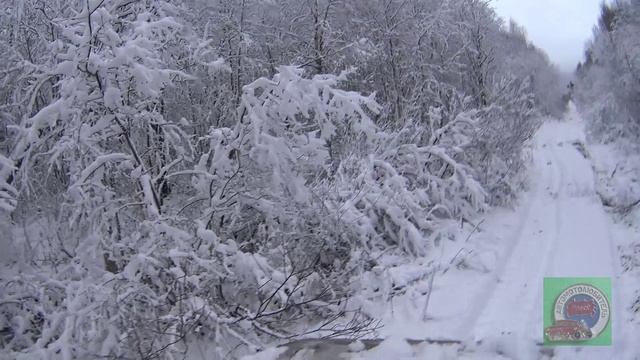 Едем на вездеходе Белый Лис после снегопада