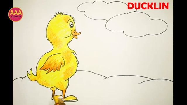 How To Draw || DUCKLIN || Online Drawing Classes || S-6