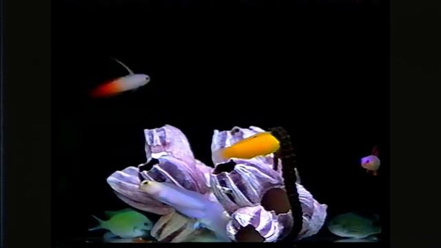 Chillwave_Mix_VHS