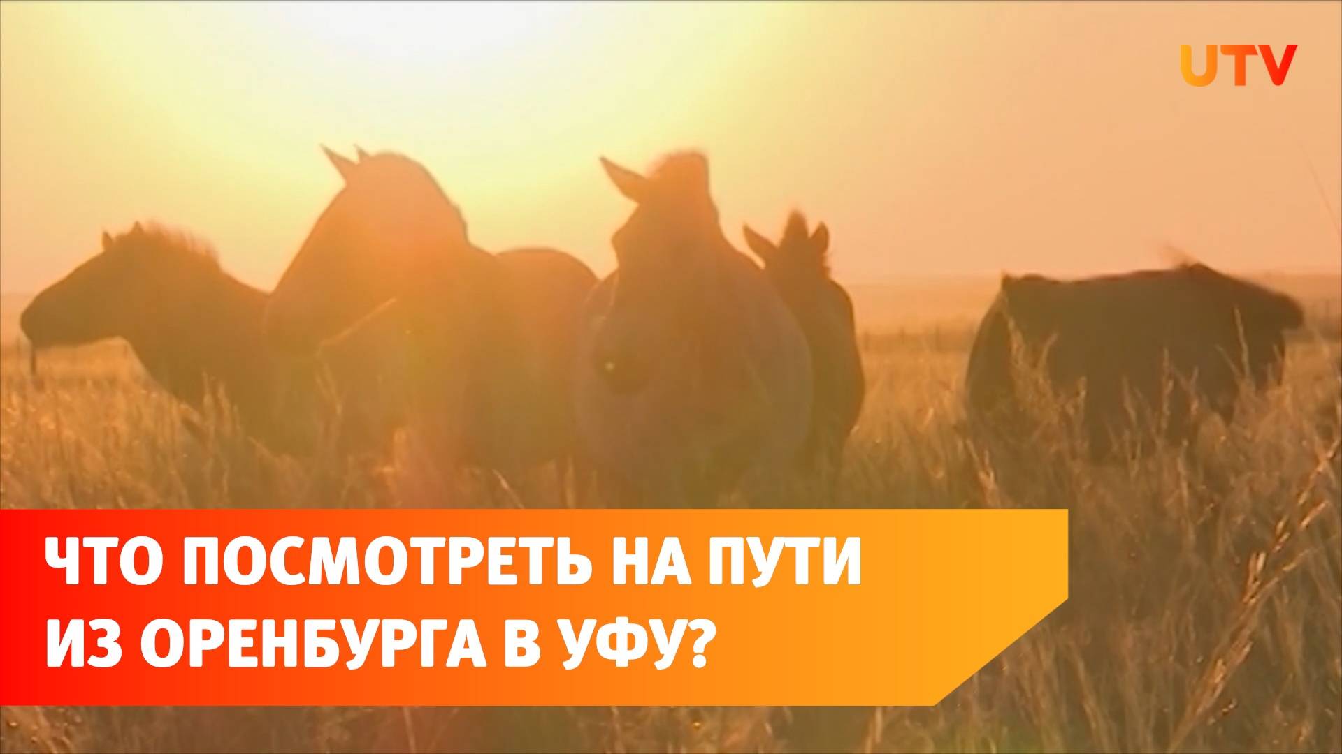 Туристический маршрут «Сила природы». Что посмотреть на пути из Оренбурга в Башкирию?