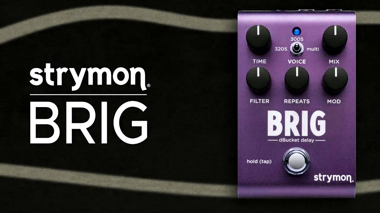 Strymon Brig dBucket Delay with Roland S-1 & Mega FM (No Talking)