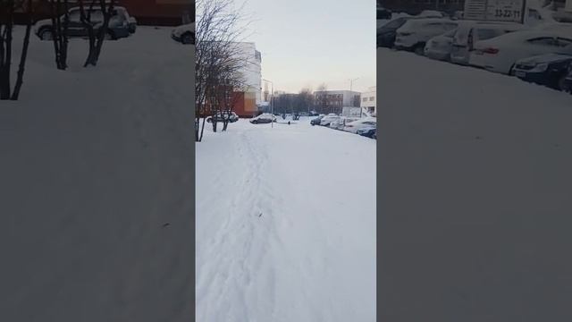 2 января 2024 г.