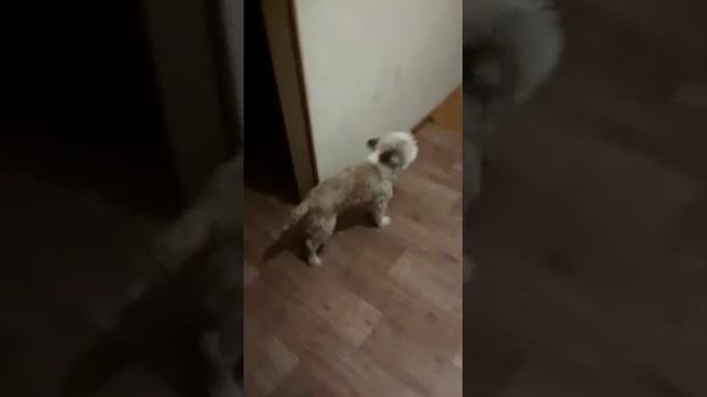 Старт на прогулку