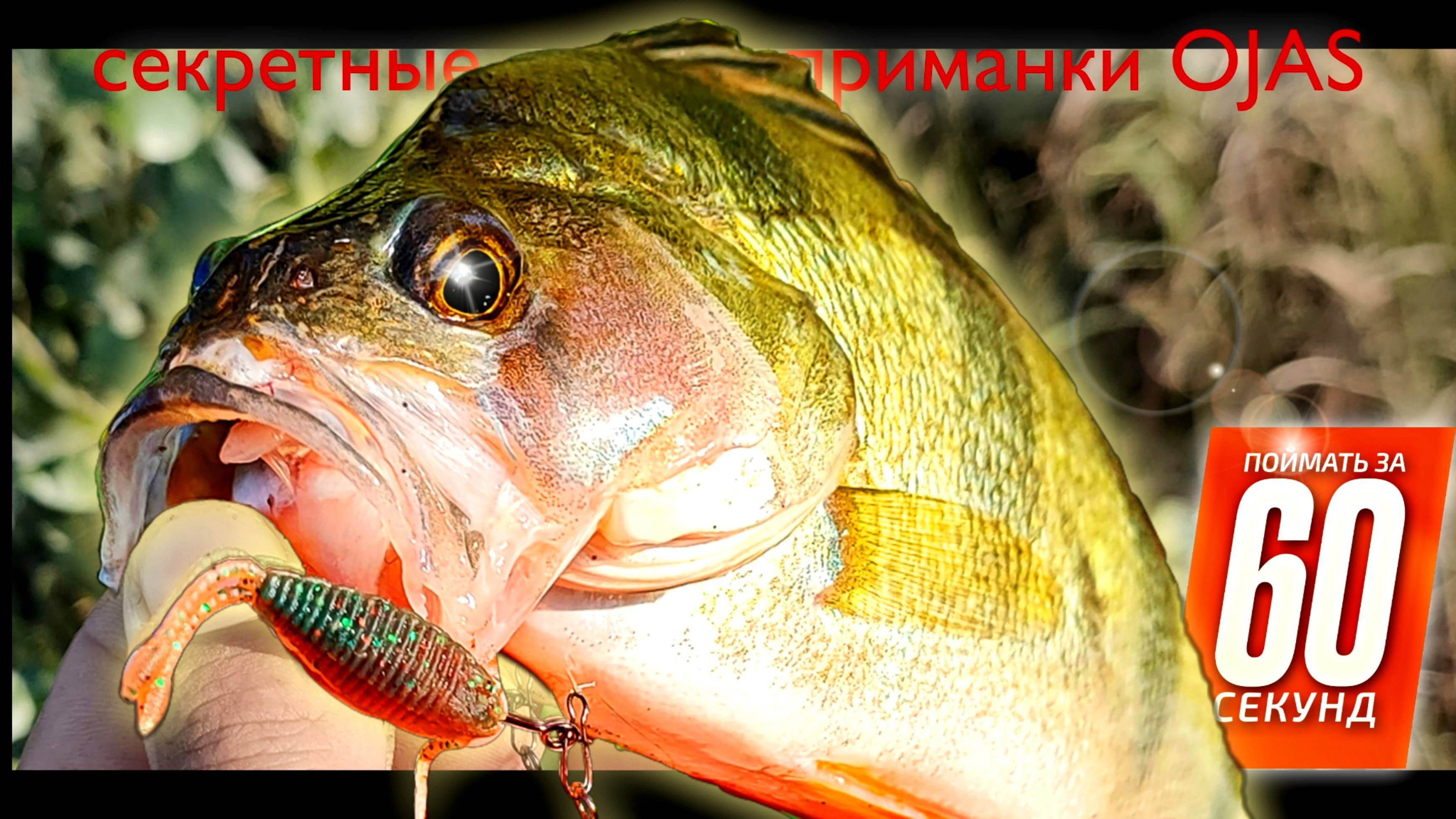 С Таким Клевом Знай Меру. Секретные Приманки На Окуня