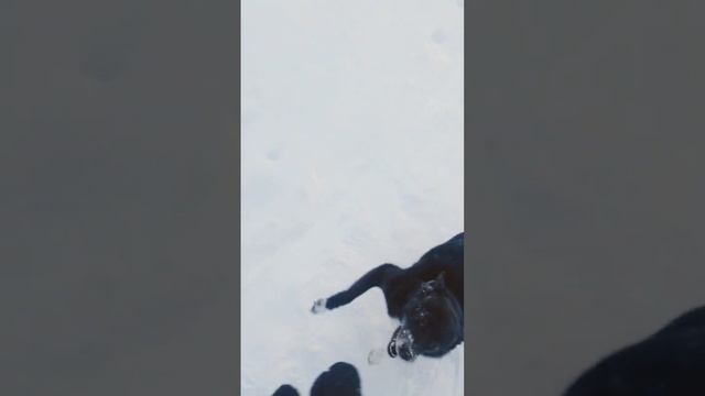 2 января 2024 г.