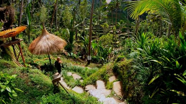 The Guide to Bali - Indonesia Travel Video