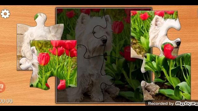 Jigsaw Puzzle Epic 45 Серия Игра 2024