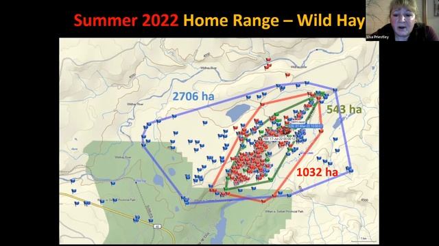 Nesting and Home Range of Barred Owls in Managed Forests of Alberta