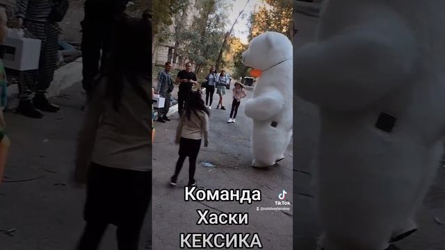 Команда Хаски КЕКСИКА