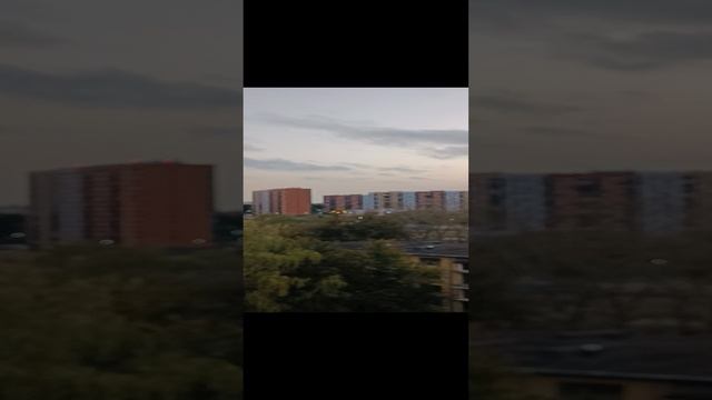 погода в Москве 01.10.24