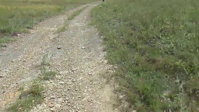 Покровка - Новопетровское 2015 07 05 .