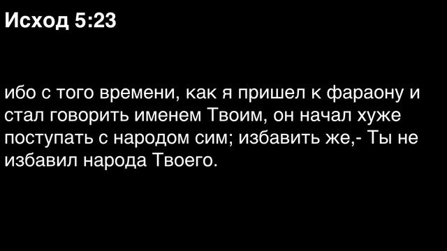 День 16. Библия за год. Книга Исход. Главы 4-7.