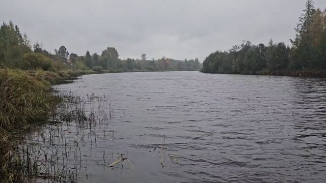 The Marias-Ruhtless.
Безжалостно короткое карельское лето.