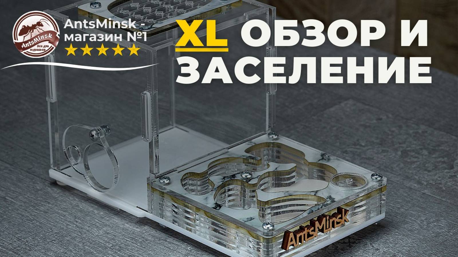 Обзор фермы XL AntsMinsk