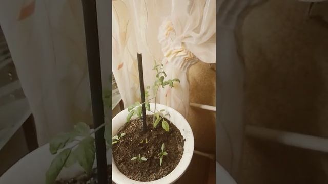 27 ноября 2023 г.