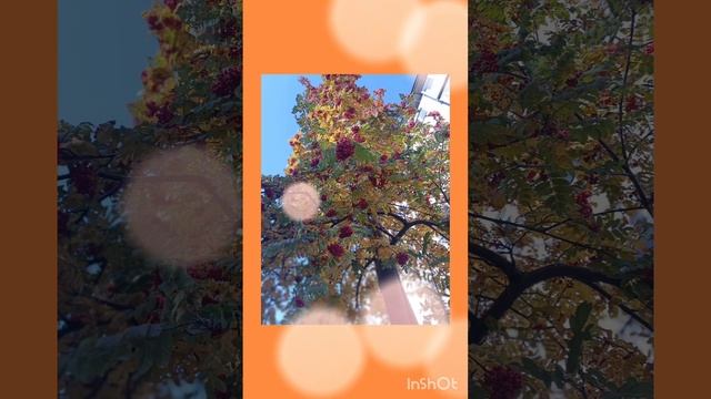 Привет, октябрь 🍁🧡🍂