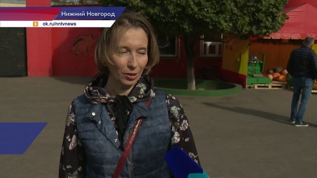 Конкурс на самую большую тыкву проходит в нижегородском зоопарке «Лимпопо»