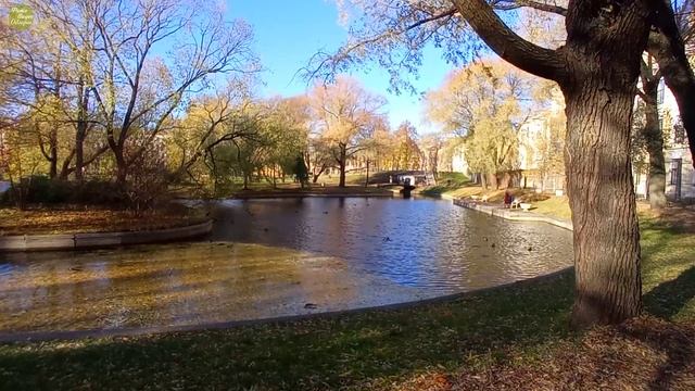 Осень пробуждает в человеке милосердие и сострадание.