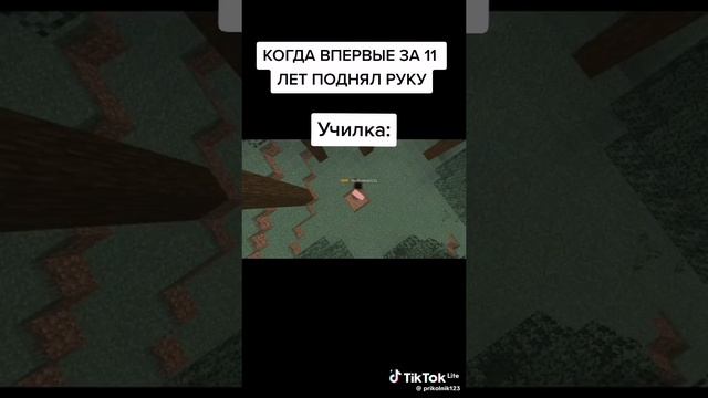 играеш уже 1 час в Майнкрафт