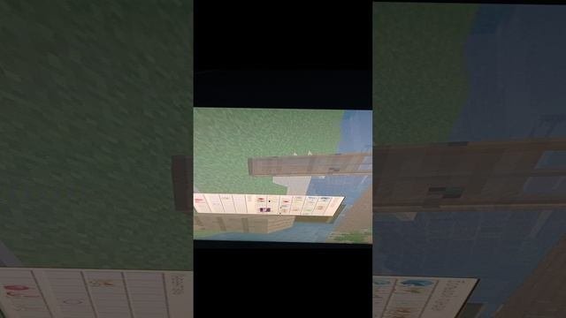 1000000213.mp4