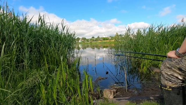 2 поклевки, 1 лебедь и 0 рыб